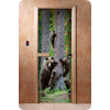 Дверь для сауны DoorWood (Дорвуд) 70x200 Фотопечать A064 левая, коробка ольха