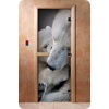 Дверь для сауны DoorWood (Дорвуд) 70x200 Фотопечать A066 левая, коробка ольха