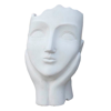  () Idealist Face Planter  (WFP-WHT-27)