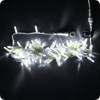 -  Rich Led 10 , 24 , , , . .