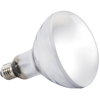   Exo Terra Solar Glo 125 (  + )