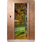 Дверь для сауны DoorWood (Дорвуд) 70x210 Фотопечать A089 левая, коробка ольха