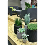   () Keter   S+M+L CYLINDER PLANTERS  902