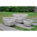   () Idealist Face Planter  (FFP-BEG-55)