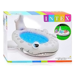     INTEX   , 229226107 ,  57433